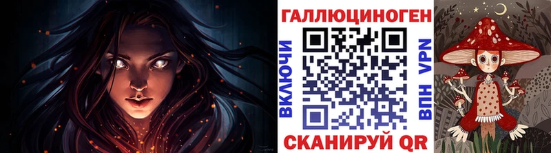 Галлюциногенные грибы Psilocybe  mega ссылка  Холмск  магазин   