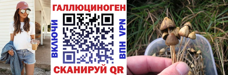 Галлюциногенные грибы мицелий Холмск
